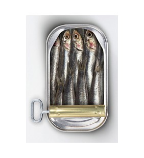 Tuna , sardine in cans