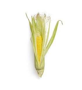 Corn