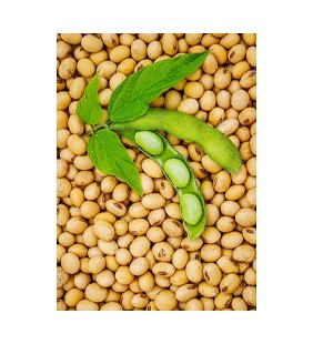 Soybeans